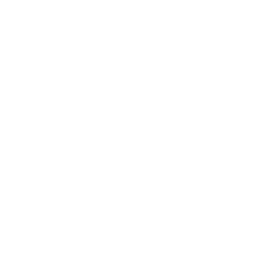 Behive